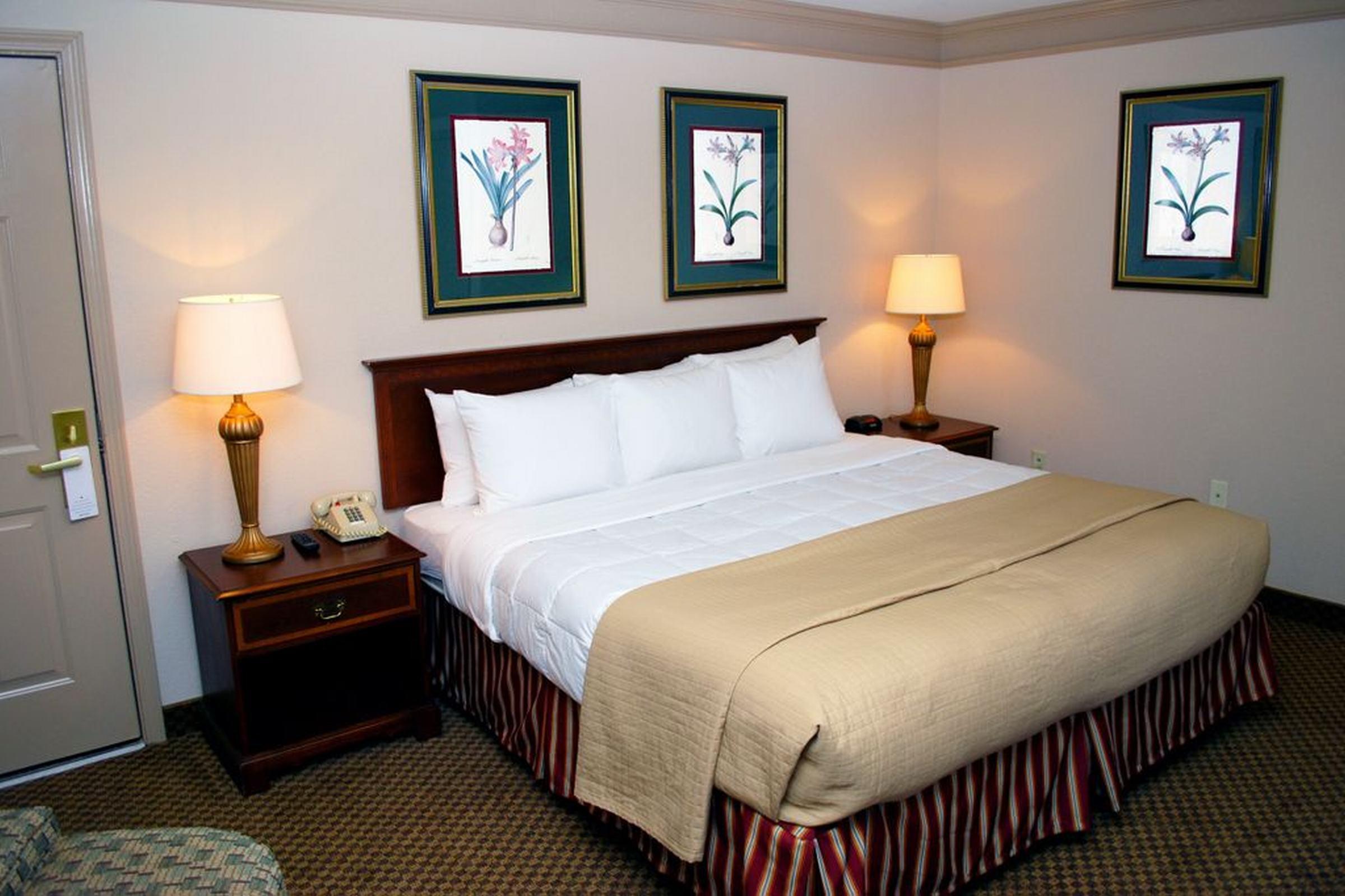 Clarion Inn & Suites Atlanta Downtown Exteriör bild